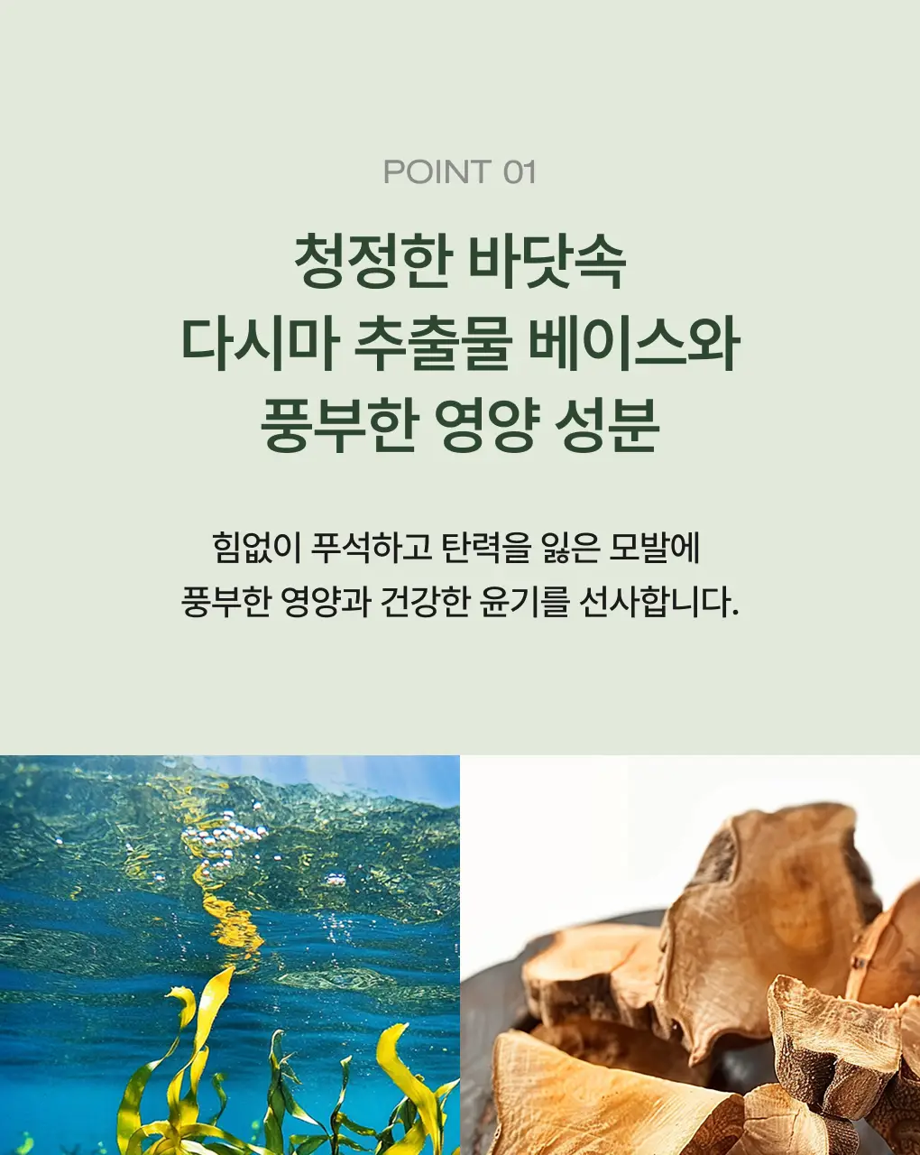 [성분천재/두피보습] 청미정 다시마 트리트먼트 500ml (단품/기획) 상세페이지 18